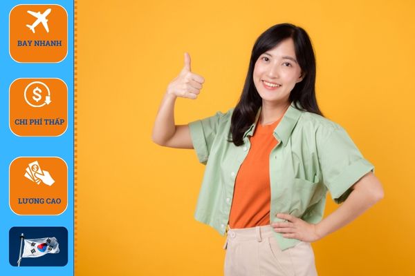 Công ty tư vấn du học Hàn Quốc tại Quảng Ngãi uy tín 2 15 3