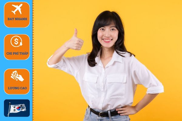 Công ty tư vấn du học Hàn Quốc tại Tuyên Quang uy tín 2 7 3