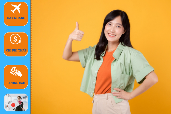 Công ty tư vấn du học Nhật Bản tại Bến Tre uy tín 2 15