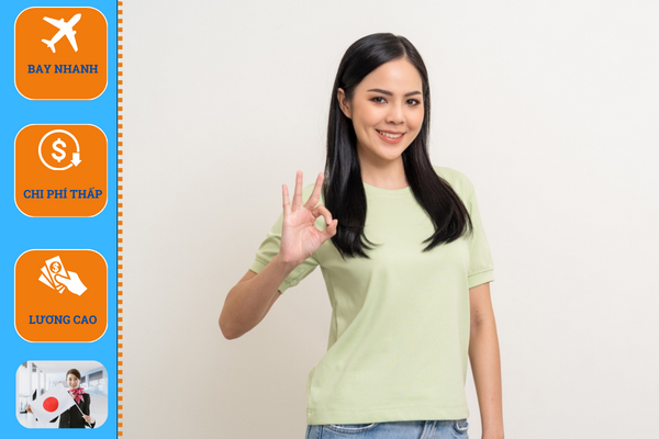 Công ty tư vấn du học Nhật Bản tại Nam Định uy tín 2 26