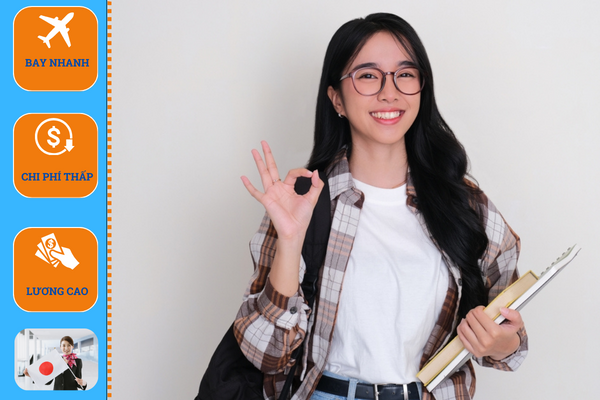 Công ty tư vấn du học Nhật Bản tại Tiền Giang uy tín 2 4