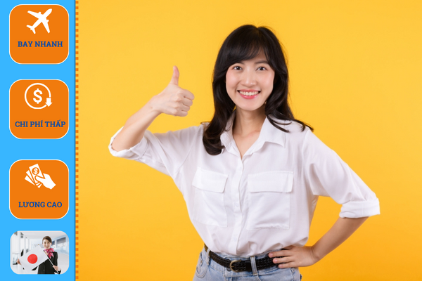 Công ty tư vấn du học Nhật Bản tại Tuyên Quang uy tín 2 7
